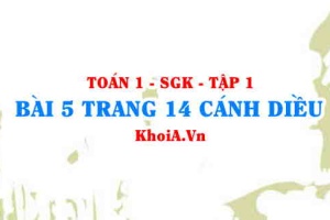 Bài 5 trang 14 Toán 12 tập 1 Cánh Diều